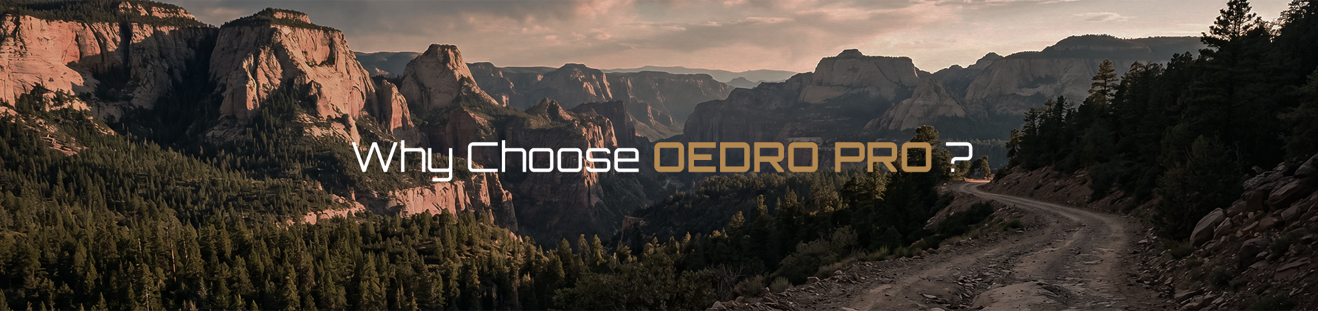 Why Choose OEDRO PRO ?